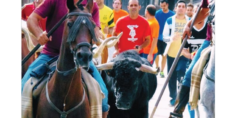 38. Boletín FTG JUNIO 2024