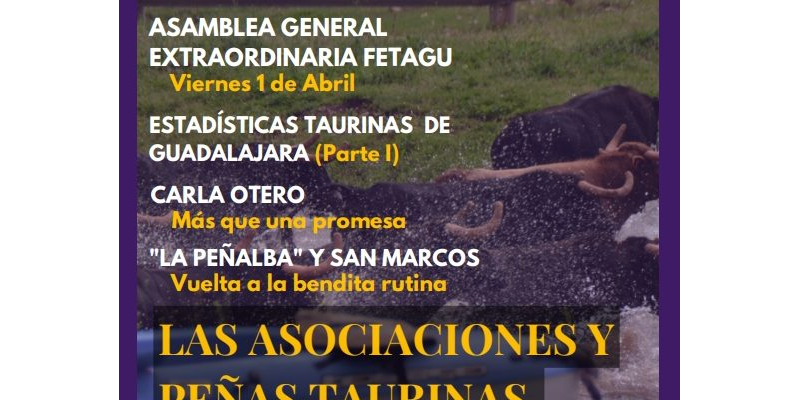 12. Boletín FTG ABRIL 2022