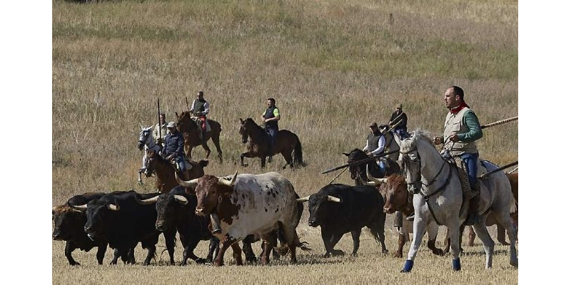41. Boletín FTG SEPTIEMBRE 2024