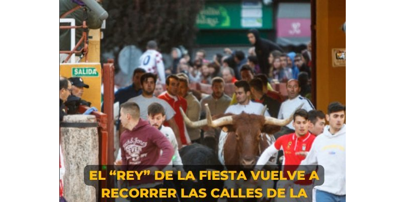 29. Boletín FTG SEPTIEMBRE 2023