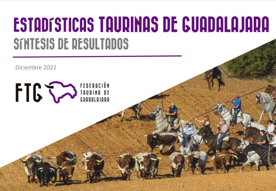 INFORME ESTADÍSTICO 2022