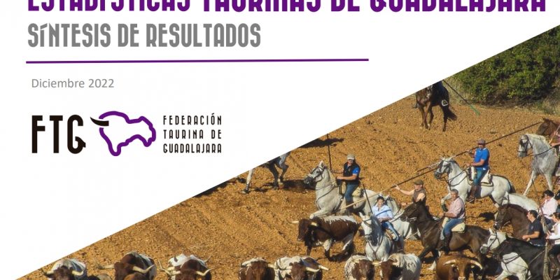 INFORME ESTADÍSTICO 2022